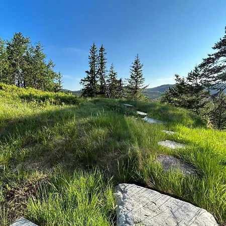 Holiday home Vegglihytta - With A Tranquil Location Veggli