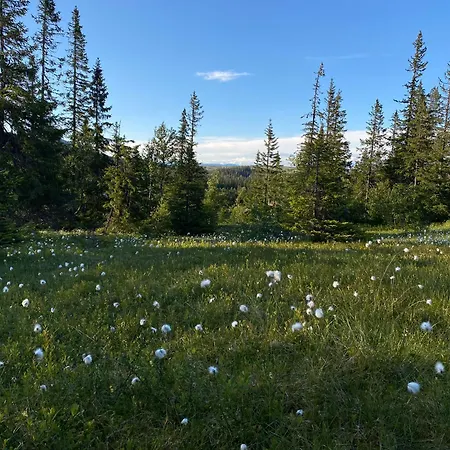 Vegglihytta - With A Tranquil Location